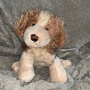 Webkins spaniel dog with tags on arm